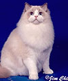 click for zoom