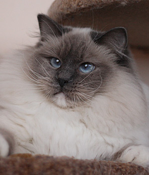 RU*Eria Pro Valentina