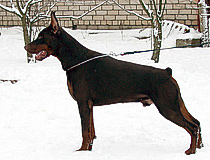 Click to enlarge Sant Kreal Yusupov