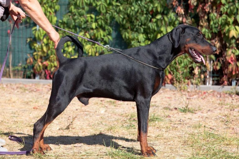 Изображение WhatsApp 2025-09-27 в 22.00.31_b2288182