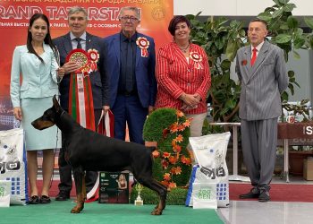 26.10.2025 Рейтинговая выставка г. Казань