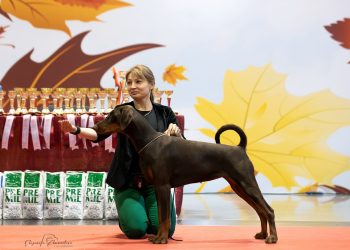 18.10.2025 Национальная выставка  ранга САС/ «Чемпион РКФ» с особым статусом г. Екатеринбург