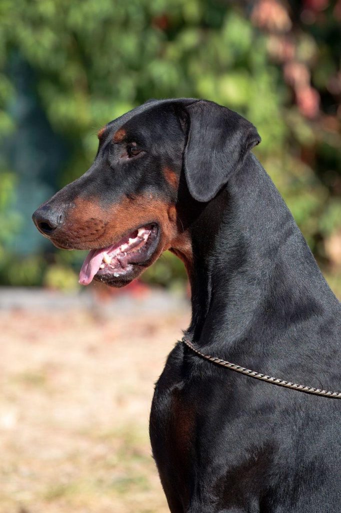 Изображение WhatsApp 2025-09-27 в 22.00.31_3b7b389a