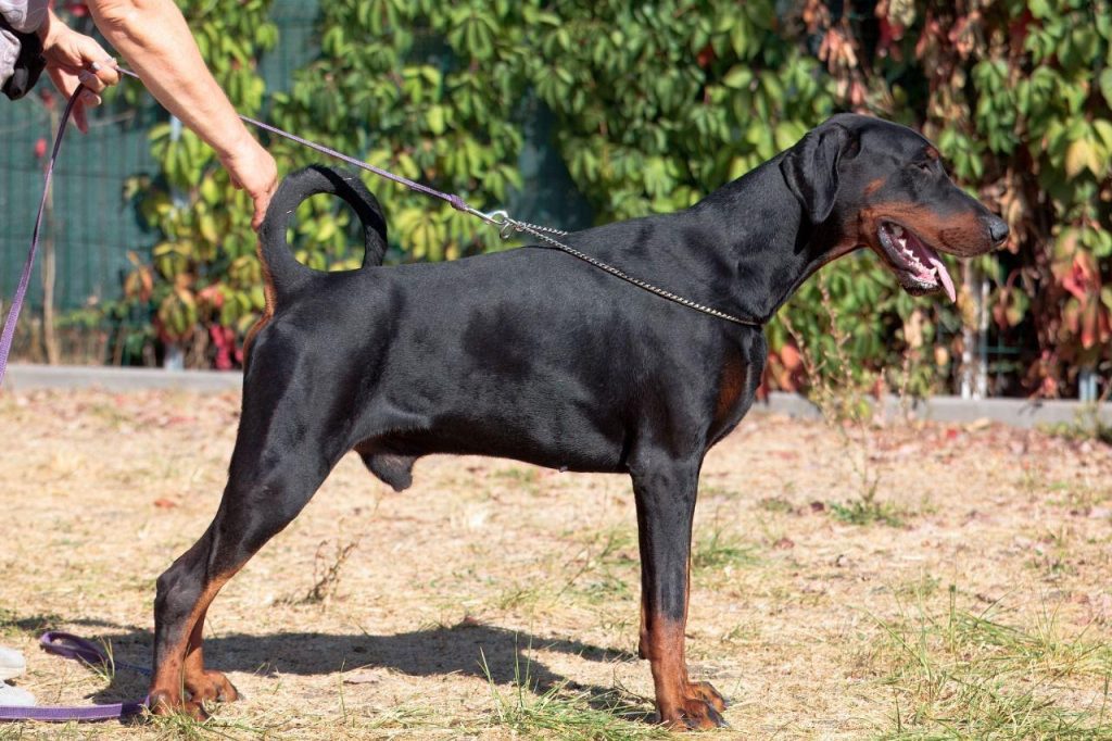 Изображение WhatsApp 2025-09-27 в 22.00.31_b2288182