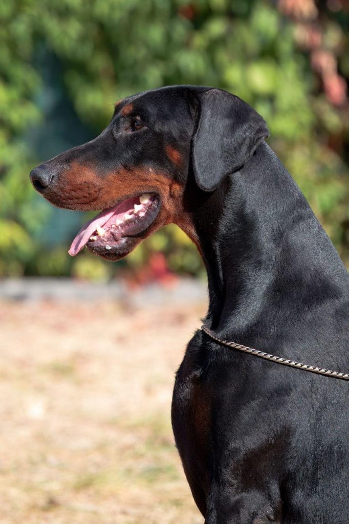 Изображение WhatsApp 2025-09-27 в 22.00.32_fdf1fcf7