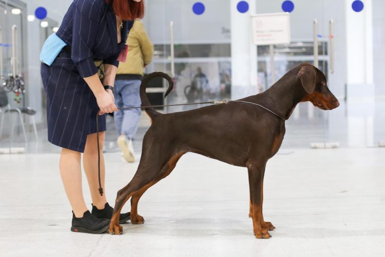 Изображение WhatsApp 2025-10-19 в 12.30.57_10087db3